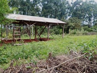 Foto 5 de Terreno de 15mil m2 en venta en San Jose Barrio Don Bosco - Misiones