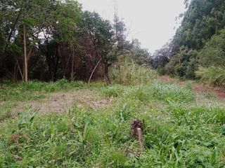 Foto 9 de Terreno de 15mil m2 en venta en San Jose Barrio Don Bosco - Misiones