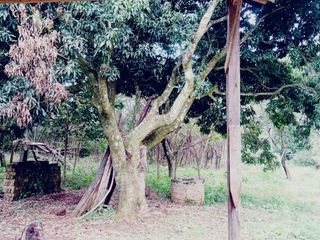 Foto 7 de Terreno de 15mil m2 en venta en San Jose Barrio Don Bosco - Misiones