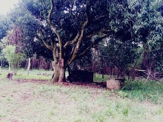 Foto 4 de Terreno de 15mil m2 en venta en San Jose Barrio Don Bosco - Misiones