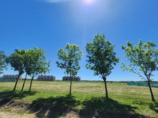 Foto 16 de Terreno en venta - 2.166mts2 - Haras del Sur III - La Plata