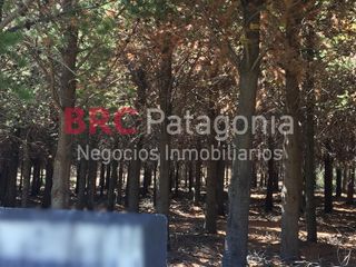Foto 2 de Campo - Ruta 237- Bariloche