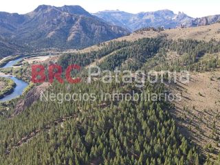 Foto 7 de Campo - Ruta 237- Bariloche