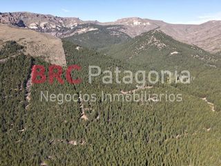 Foto 3 de Campo - Ruta 237- Bariloche