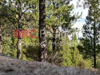 Foto 8 de Campo - Ruta 237- Bariloche