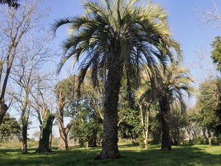 Foto 4 de Terreno - Longchamps