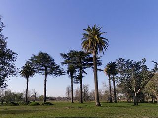 Foto 5 de Terreno - Longchamps