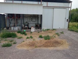 Foto 2 de Venta - Dos cámaras de frio zona Cervantes - A008