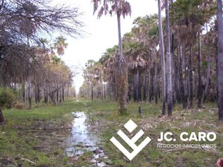 Foto 1 de En Venta 5270 Has Campo Mixto