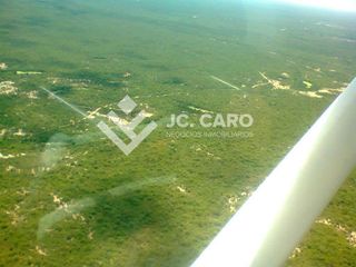 Foto 6 de En Venta 5270 Has Campo Mixto