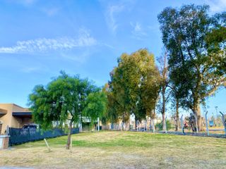 Foto 15 de LOTE EN VENTA - BARRIO SANTA ELENA - PILAR DEL ESTE