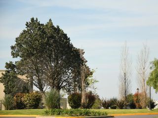 Foto 23 de LOTE EN VENTA - BARRIO SANTA ELENA - PILAR DEL ESTE