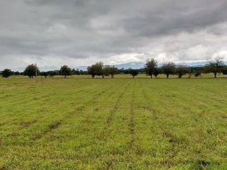 Foto 4 de Terreno en Venta en Salta