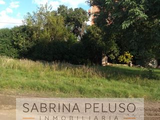 Foto 2 de Lote esquina en  Monte Caseros Corrientes