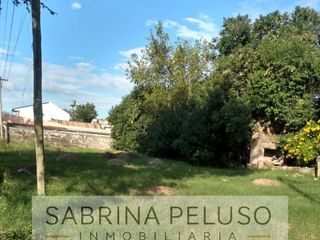 Foto 1 de Lote esquina en  Monte Caseros Corrientes