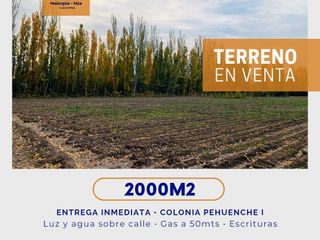 Foto 1 de Terreno en Colonia Pehuenche 1