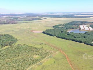 Foto 3 de Se vende Campo  en Gobernador Virasoro Corrientes. 478 hectáreas. Tierra colorada.