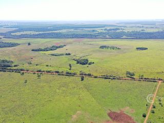 Foto 4 de Se vende Campo  en Gobernador Virasoro Corrientes. 478 hectáreas. Tierra colorada.