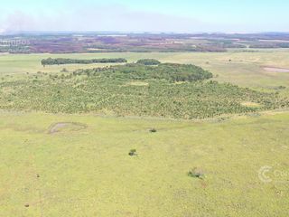 Foto 1 de Se vende Campo  en Gobernador Virasoro Corrientes. 478 hectáreas. Tierra colorada.