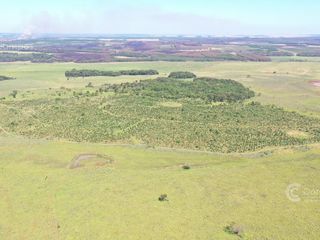 Foto 2 de Se vende Campo  en Gobernador Virasoro Corrientes. 478 hectáreas. Tierra colorada.