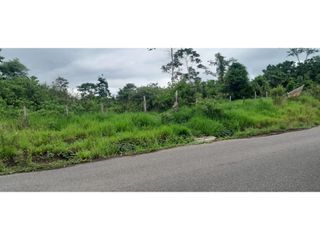 Foto 5 de Venta de Terreno en Contamana- 48Has