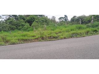 Foto 4 de Venta de Terreno en Contamana- 48Has