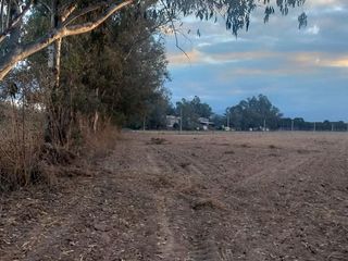Foto 2 de Chacra en Venta en Cerrillos