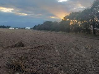 Foto 4 de Chacra en Venta en Cerrillos
