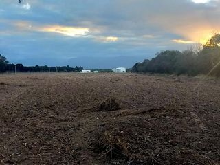 Foto 1 de Chacra en Venta en Cerrillos