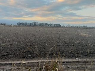 Foto 5 de Chacra en Venta en Cerrillos