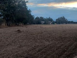 Foto 3 de Chacra en Venta en Cerrillos