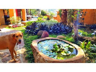 Foto 8 de venta casa en barichara - Casa El Agua
