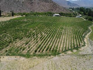 Foto 6 de Finca en  Venta en Cachi