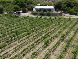 Foto 9 de Finca en  Venta en Cachi