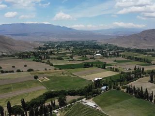 Foto 3 de Finca en  Venta en Cachi