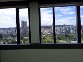 Foto 3 de La Carolina, Oficina en  Renta, 125m2, 5 Ambiente, 2 Baños.