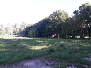 Foto 11 de Terreno en venta - 4000mts2 - San Vicente