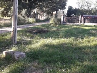 Foto 5 de Terreno en venta - 4000mts2 - San Vicente
