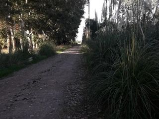 Foto 9 de Terreno en venta - 4000mts2 - San Vicente