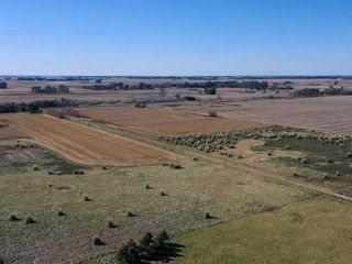 Foto 3 de 4 chacras de 5 Hectáreas cada una  | LOBOS
