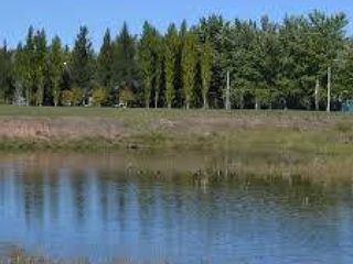 Foto 20 de Terreno en venta - 1.000mts2 - Coronel Brandsen