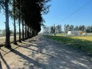 Foto 15 de Terreno en venta - 1.000mts2 - Coronel Brandsen
