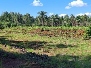 Foto 5 de Se vende 29 ha. con 4 ha de Yerba Mate. Gobernador Roca Misiones