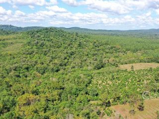 Foto 4 de Se vende 29 ha. con 4 ha de Yerba Mate. Gobernador Roca Misiones