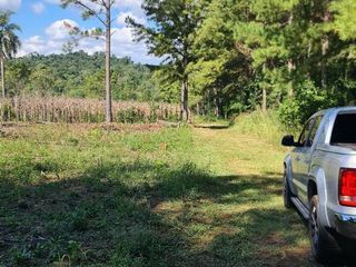 Foto 2 de Se vende 29 ha. con 4 ha de Yerba Mate. Gobernador Roca Misiones