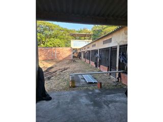 Foto 5 de VENTA DE CASA LOTE EN TOCAIMA  IDEAL PARA PROYECTO DE HOTELERIA