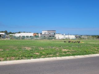 Foto 4 de Terreno en  San Sebastian area 13