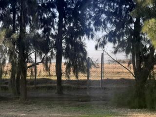 Foto 12 de Terreno en venta - 998mts2 - Haras del Sur II [FINANCIADO]