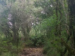 Foto 17 de Terreno en  La Caldera - Campo Alegre