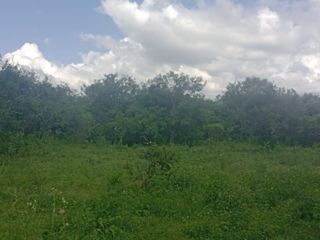 Foto 9 de Terreno en  La Caldera - Campo Alegre